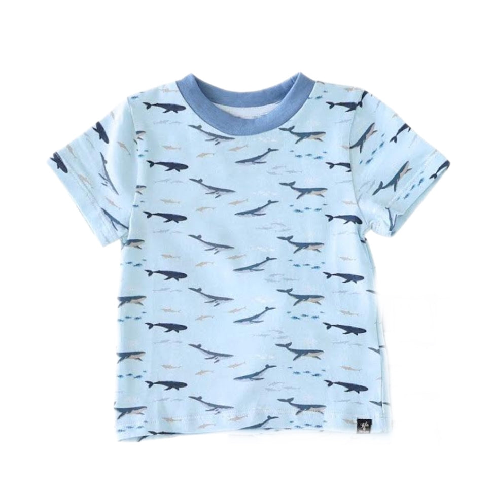 Baby Boys T-Shirt - Majestic Whales - Loch and Ali's Children's Boutique