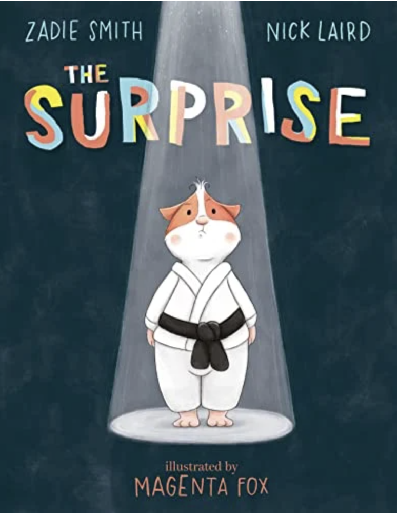 The Surprise Book