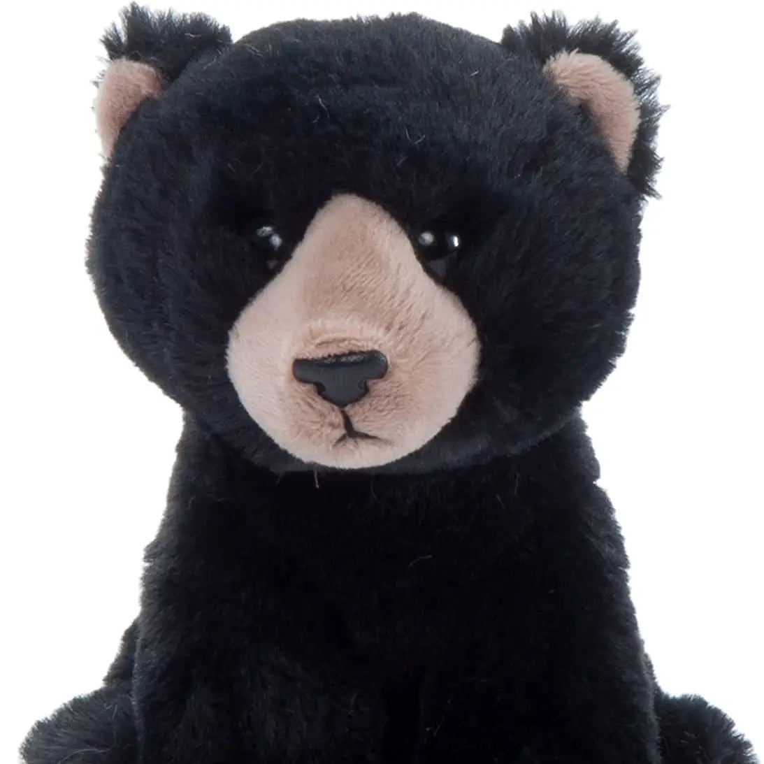 6" (14cm) Babiez Wild Onez Black Bear - Loch and Ali's Children's Boutique